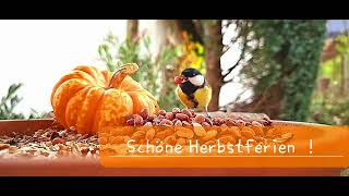 Schöne Herbstferien [upl. by Tanah]