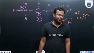 Given below are two statements StatementI Amino acids have a property of ionizable nature of [upl. by Kcinomod]