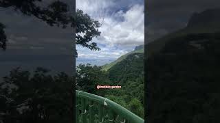 Green nature chill shortvideo travel trendingshorts greennature [upl. by Bil390]