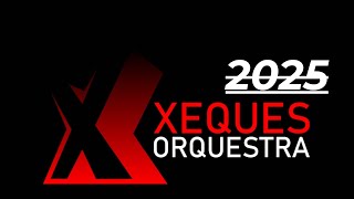 Xeques Orquestra  Promo 2025 XequesOrquestra [upl. by Ball]