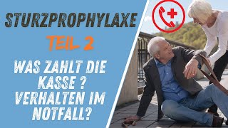 Sturzprophylaxe Teil2  Wohnraumanpassung Hilfsmittel Sofortmaßnahmen [upl. by Vizzone]