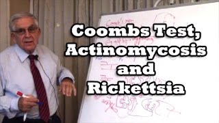 Coombs Test Actinomycosis and Rickettsia [upl. by Ycnej]