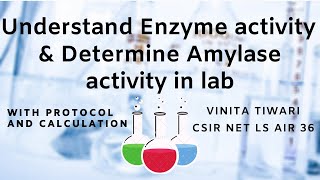 Enzyme activity  Alpha amylase activity determination in lab [upl. by Jamima]