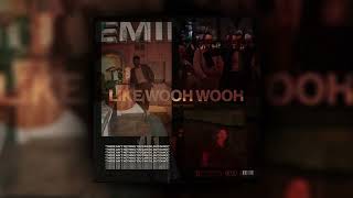 Restricted vs Eminem  Without Me Wooh Wooh Scottie V Mashup [upl. by Sivle695]