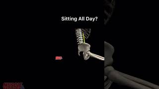 Sitting All Day Stretch Your Psoas to Relieve Pain [upl. by Wilone]