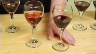 Types of Red Wine  Zinfandel Wine Facts [upl. by Enyamrahc]