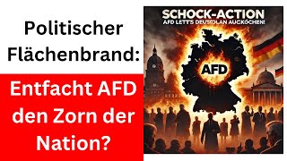 SchockAktion AfD lässt Deutschland aufkochen [upl. by Hcirdla]