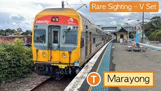 Transport for Sydney Vlog 822 Marayong Trainspotting  A Rare Sighting [upl. by Kabob390]