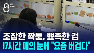 조잡한 짝퉁 뾰족한 검…17시간 매의 눈에 quot요즘 버겁다quot  SBS 8뉴스 [upl. by Atiuqad]