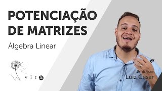 Vitae  Álgebra Linear  Potenciação de Matrizes [upl. by Nonnaihr]