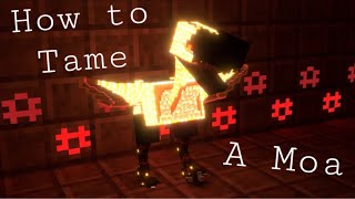 Aether Mod  How to Tame a Moa  Minecraft [upl. by Htebizile]