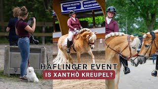 IS XANHTÒ KREUPEL IN DE PROEF 😲  Haflinger Event 2024  Haflinger King amp Beau [upl. by Dewey382]