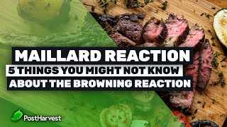 Maillard Reaction  5 Things You Might Not Know About The Browning Reaction [upl. by Ohce907]