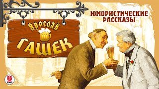 ЯРОСЛАВ ГАШЕК «ЮМОРИCТИЧЕСКИЕ РАССКАЗЫ» Аудиокнига Читают Александр Клюквин Александр Котов [upl. by Dwane]