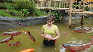 Harvesting Fishing At Fish Pond Goes To Market Sell  Cook Delicious Fish Hotpot [upl. by Calder599]