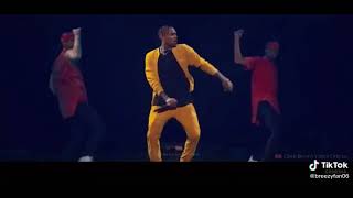 Chris brownpills and automobiles live perfomance [upl. by Leiuqeze]