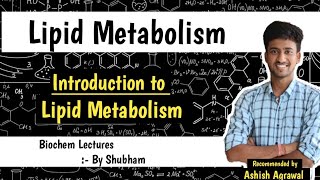 Introduction  Lipid Metabolism  Biochemistry Lectures [upl. by Muiram]