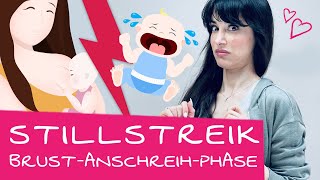 Stillen Baby weint und schreit  Brustanschreiphase  Probleme beim Stillen  Baby stillen [upl. by Haleak209]