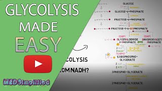 Glycolysis MADE EASY 2020  Carbohydrate Metabolism Simplified [upl. by Hugh]