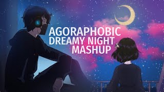 【COVER】Agoraphobic x Dreamy Night  Mashup [upl. by Boylston]