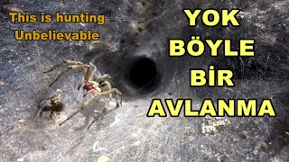 YOK BOYLE BİR AVLANMAİZLEYİN PİŞMAN OLMAYACAKSINIZ  Incredible Hunt You Wont Regret Watching [upl. by Rusert]