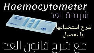 شريحة العد Haemocytometer وقانون العد  تعليم التحاليل الطبية للمبتدئين [upl. by Aipotu]