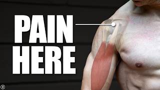 Biceps Tendinopathy  Tendinitis  Anterior Shoulder Pain Rehab Education amp Exercises [upl. by Laundes]