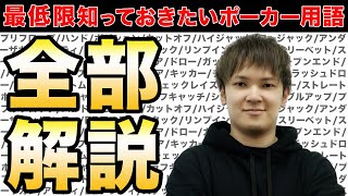 【見るだけで完璧】ポーカー用語を世界一わかりやすく解説します。 [upl. by Virgin274]