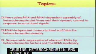 Epigenetic Genome Control by Heterochromatin and RNAi Machinery [upl. by Steiner]