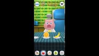 Talking Pig Oinky  My Funny Virtual Piggy Pet Friend Games for Toddlers and Kids FREE [upl. by Ynavoj]