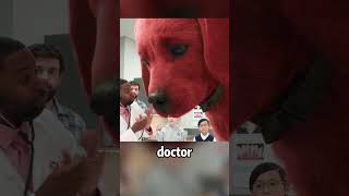 Big red dog to be missed movie film movieclips moviefacts motivation cinemarecap comedy [upl. by Adnauqal]