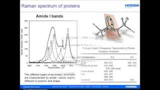 Raman Spectroscopy for Proteins by HORIBA Scientific [upl. by Demodena]