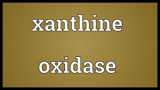 Xanthine oxidase Meaning [upl. by Emarej538]