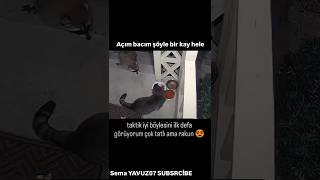 Açım Aç şöyle bir kay hele 🤣🤣 [upl. by Otinauj]