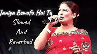 Janiya Bewafa Hai Tu🎧😇Official Music Video  Slowed and Reverbed  Naseebo Lal  New Punjabi Song🌺 [upl. by Jedidiah]