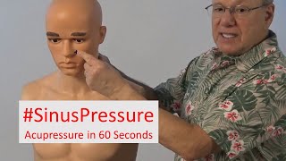 Goodbye Sinus Pressure [upl. by Enyamart]