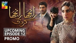 Ranjha Ranjha Kardi  Upcoming Episode 12  Promo  HUM TV  Drama [upl. by Yniffit677]