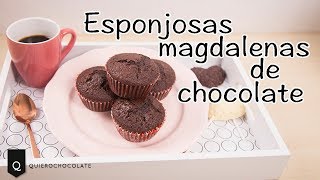 Magdalenas esponjosas de chocolate [upl. by Gunas]