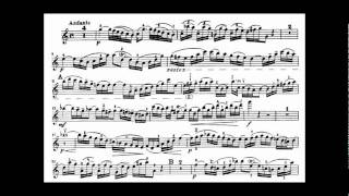 Bach JS violin concerto in A minor BWV 1041 [upl. by Lek562]