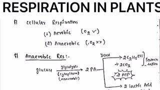 RESPIRATION IN PLANTS NOTESbotanybydrjaswinderkaur [upl. by Iak52]