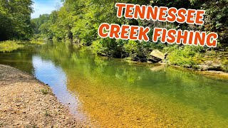 Smallmouth Bass CREEK Fishing TENNESSEE Compilation [upl. by Ahseinad]