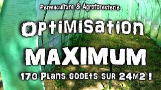 PERMACULTURE PLANTATIONS OPTIMISÉES DANS LA SERRE DU JARDIN POTAGER  MES ASTUCES MAI  JUIN [upl. by Davenport]