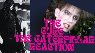 The Cure  The Caterpillar reaction [upl. by Ilrac284]