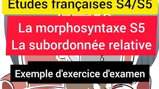 Études françaises S4S5 La SUBORDONNÉE RELATIVE Explication EXERCICE pratique méthode dexamen [upl. by Esimorp]