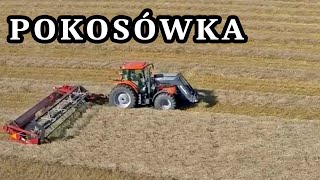 Pokosówka ciągana za ciągnikiem Zbiór dwufazowy pszenicy [upl. by Higginson693]