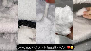 Frozen Freezer 😌 DRY FREEZER FROST😍😊 craziness and love towards FROST 🤤😋 ASMR ❤️ [upl. by Ardnael731]