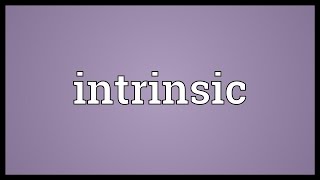 Intrinsic Meaning [upl. by Alahsal595]