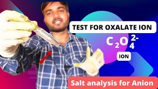 test for oxalate ion C2O42 salt analysis class 11 and 12 saltanalysis lab [upl. by Nillor]