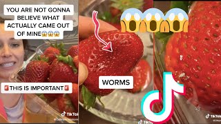 TikTok Clip Shows Bugs and Worms living on your Strawberries😱😨 [upl. by Allimrac]