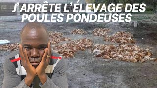 Les problème avec les poules pondeuses [upl. by Sinne]